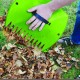 Pelle à feuilles
