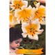 Lilium 'Miss Peculiar' - Lys ‘Miss Peculiar’
