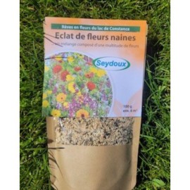 Eclat de fleurs Naines - Semences