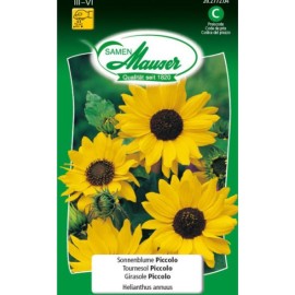 Tournesol Piccolo