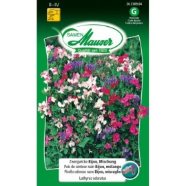 Pois de senteur nain, Bijou mélange