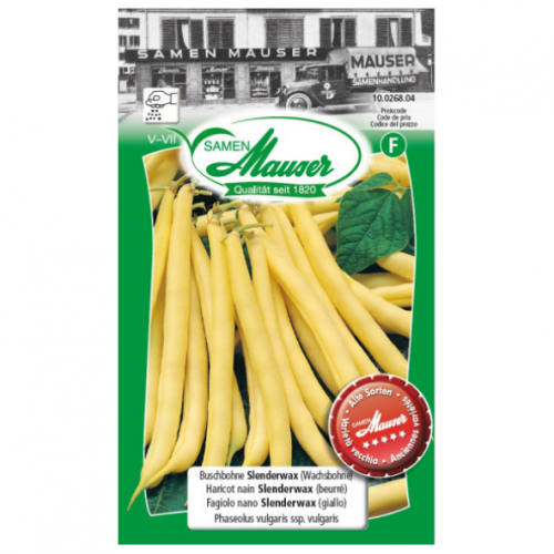 Haricot nain Slenderwax