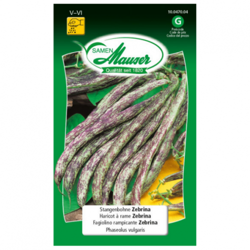 Haricot à rame Zebrina
