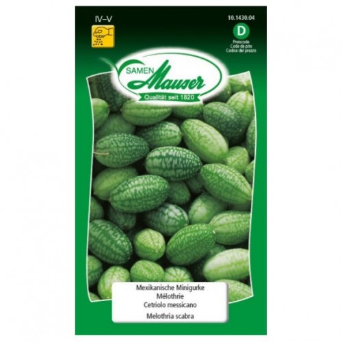 Mélothrie (mini concombre mexicain
