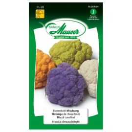 Mélange de choux-fleurs