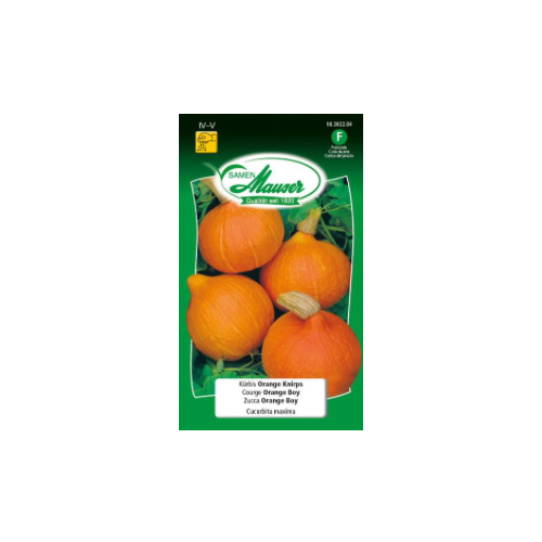 Courge potimarron orange boy