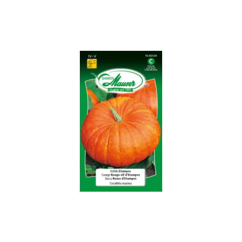 Courge rouge vif d’Etampes