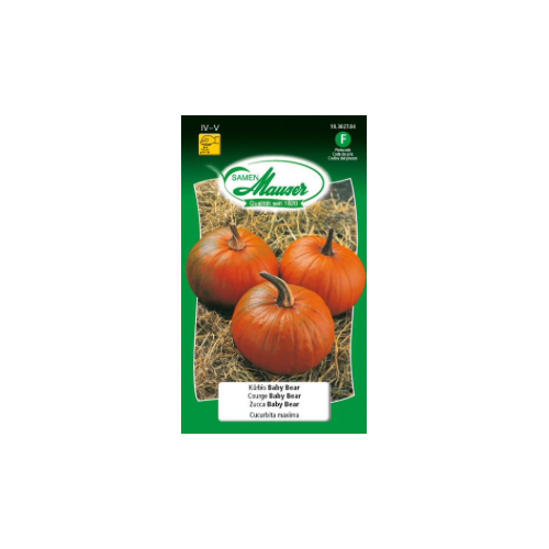 Courge baby bear
