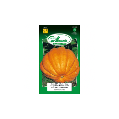 Courge Dill’s Atlantis giant