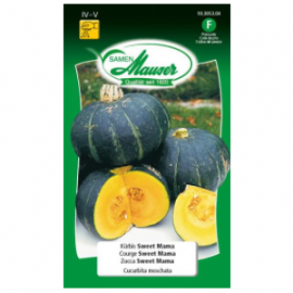 Courge sweater mama F1