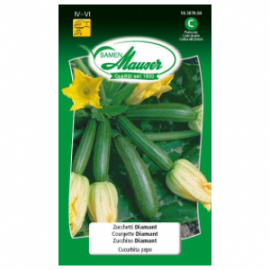 Courgette diamant
