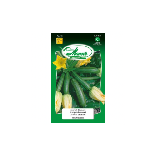 Courgette diamant
