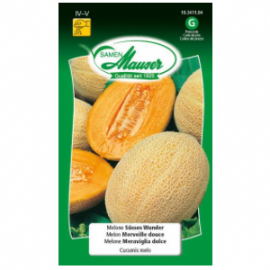Melon merveille douce