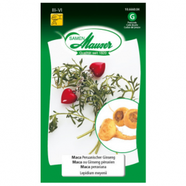 Maca ou Ginseng péruvien