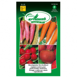 Légumes racines pour le lit surélevé