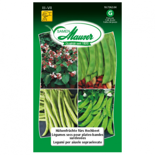 Haricots secs pour plates bandes surélevées