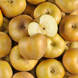 Pomme Canada