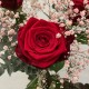 Rose rouge